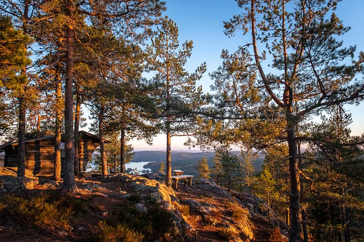 ArtknubbenBjursas_fotoAnnaHolm_VisitDalarna