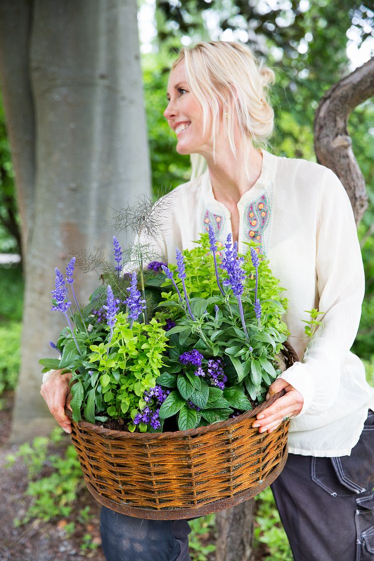 Victoria Skoglunds väljer sommarblommor i blåa, gula och bronsfärgade nyanser