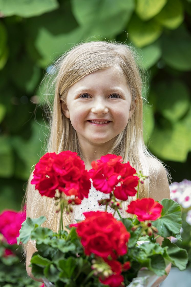 Ansikten och pelargoner