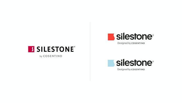 Evolution-_-SILESTONE-LOGO-2021-3-scaled.jpg