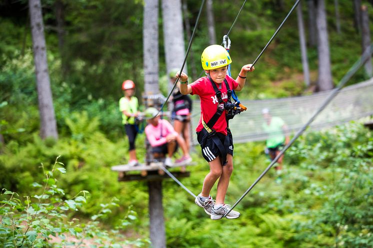 Høyt henger de - over Trysil