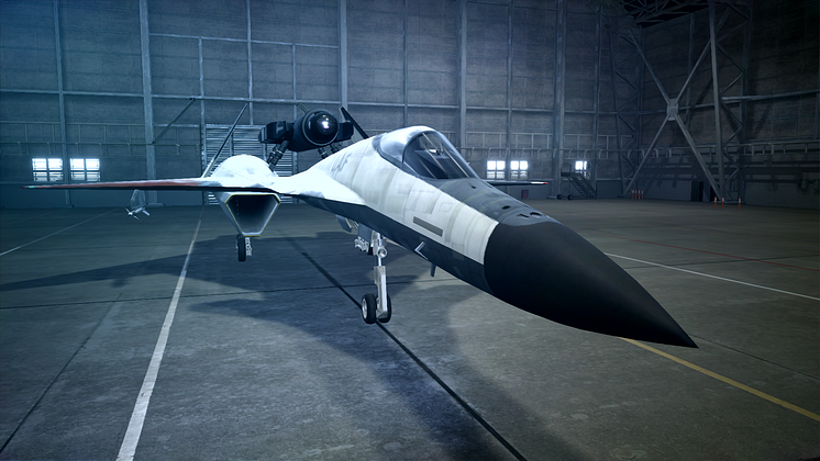 AC7_NSW_screenshot (10).png