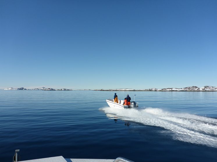 RS14381_2_-_Nuuk_fjord_Greenland_Lumpfish_boat_going_out_2019-04-29.JPG