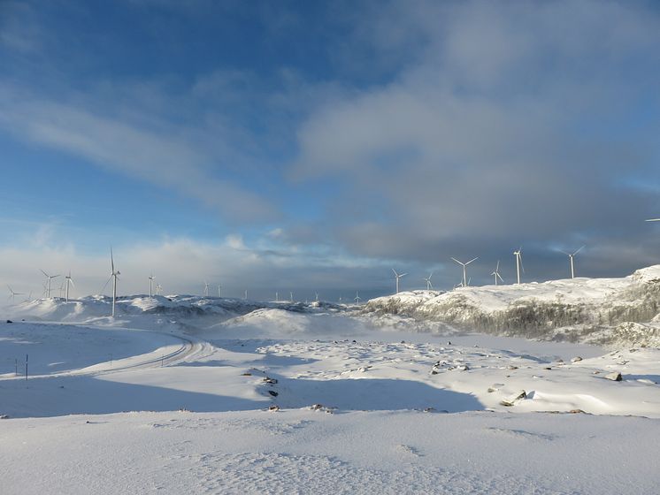 Storheia vindpark, januar 2020