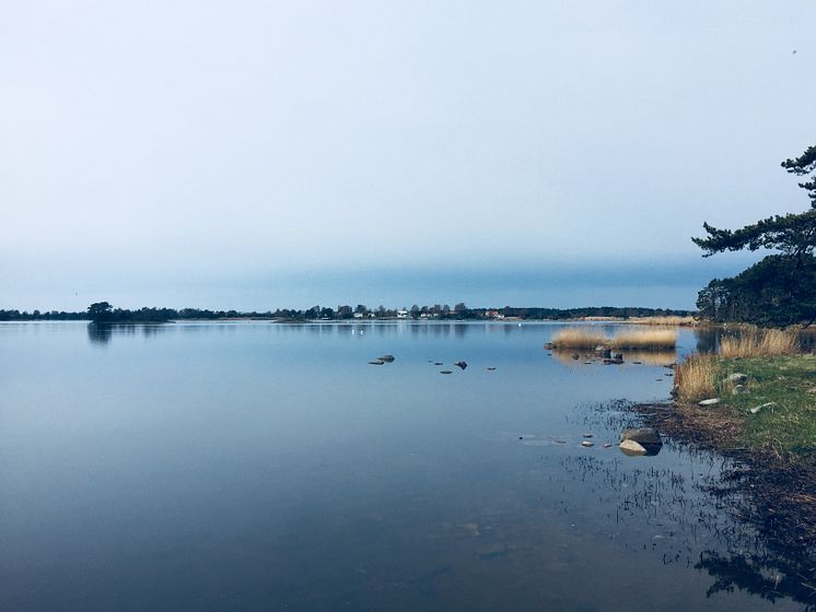 Strandnära bebyggelse