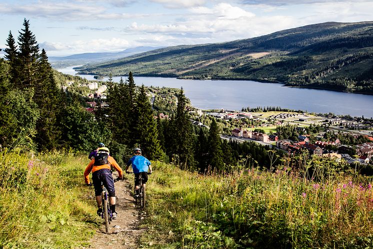 Åre Mountain Festival – ny alpin sommarfestival