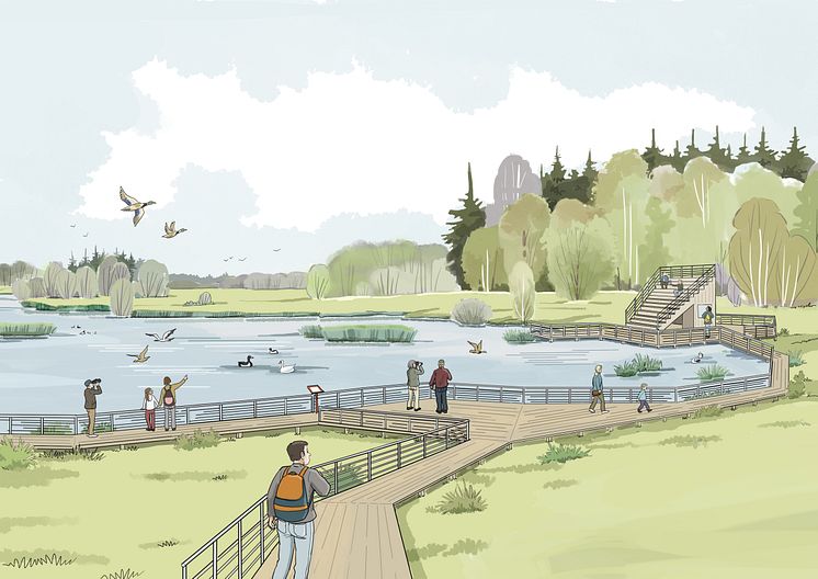 våtmark illustration 1.jpg