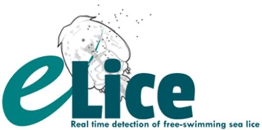 e-Lice logo