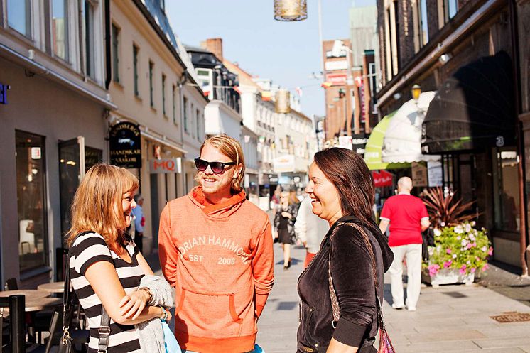 Medborgarundersökningen