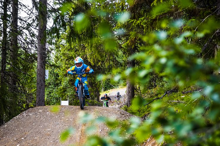 Familjevänlig downhill