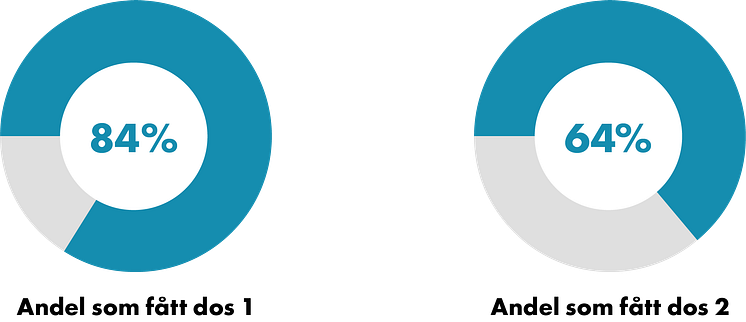 210820_Cirkel andel.png