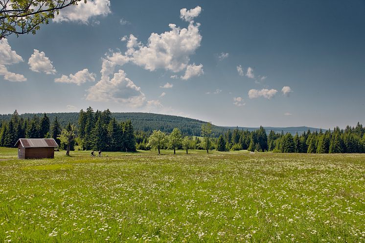 Naturidylle und Zweiradliebe _Foto_Tourismusverband Erzgebirge e.V.R.Gaens