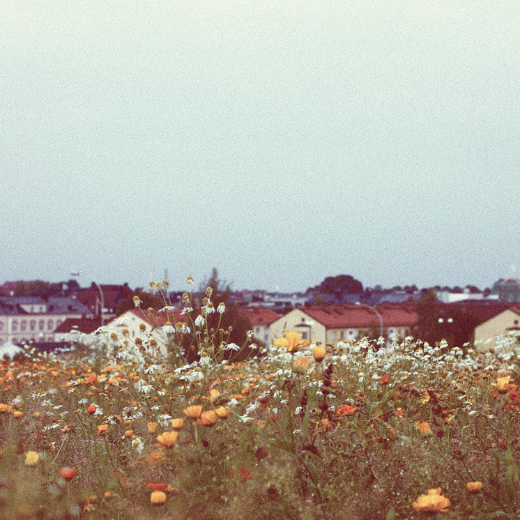 Melina Borglowe_En stad (omslag)