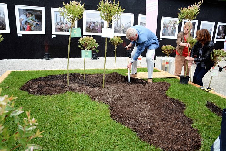 Carl Bildt planterar träd i Almedalen