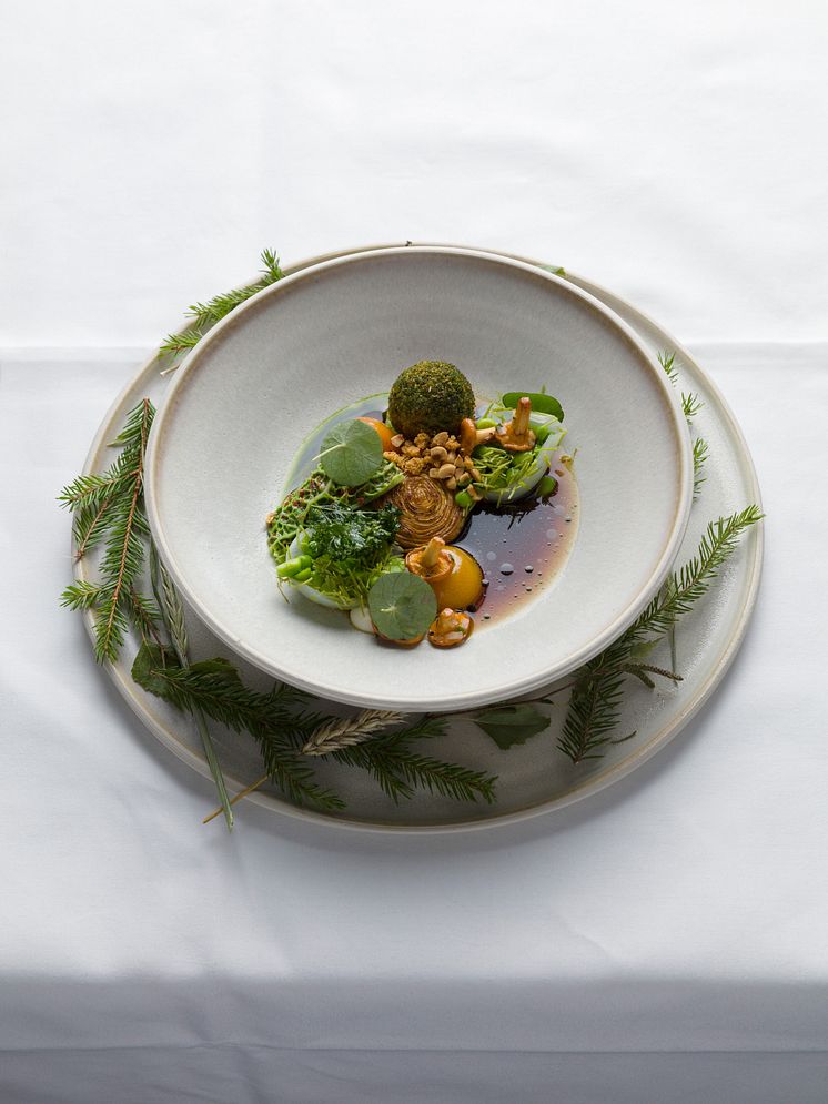 K3_1 IMG_8323-1 Bocuse d´Or 2017