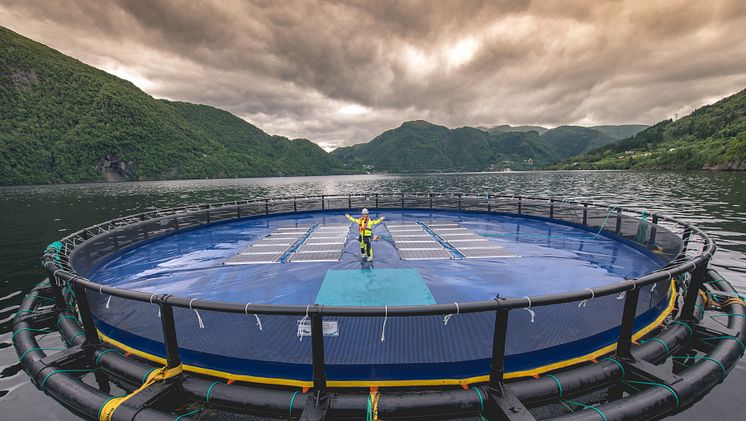 Das norwegische Unternehmen Ocean Sun angelt Sonnenenergie direkt auf dem Meer – mit schwimmenden Plattformen für die Küstenstädte der Welt 
