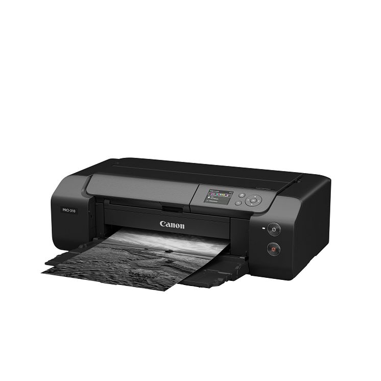 Canon imagePROGRAF PRO-310 Paper try out FSL 02.jpg