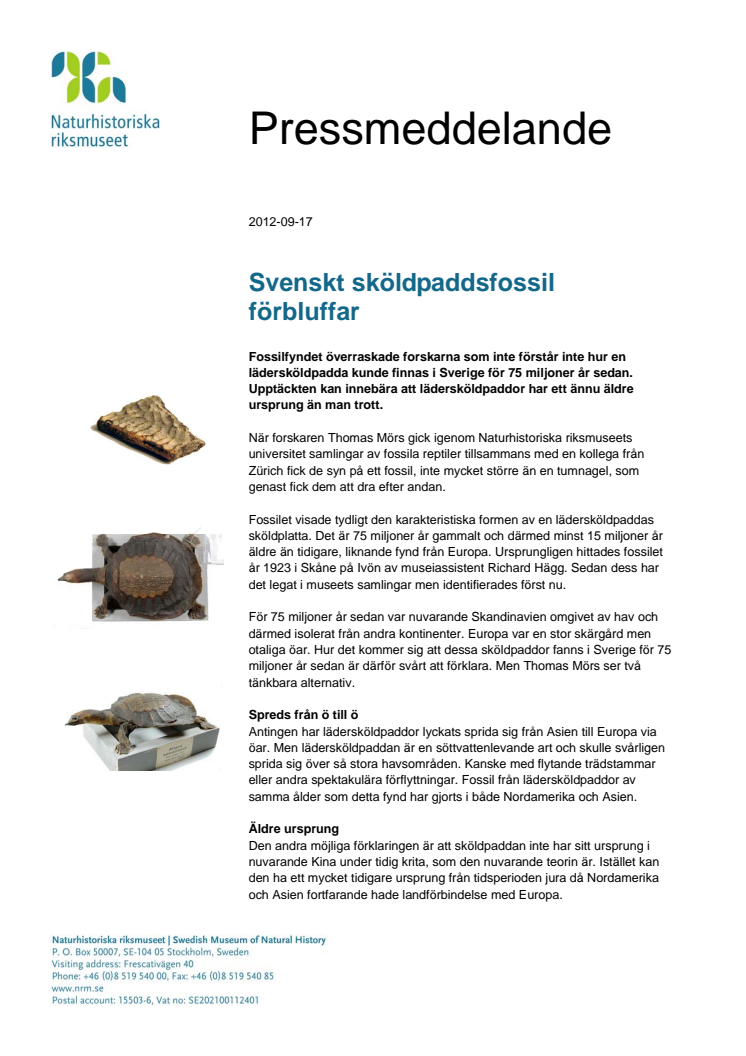 Svenskt sköldpaddsfossil förbluffar