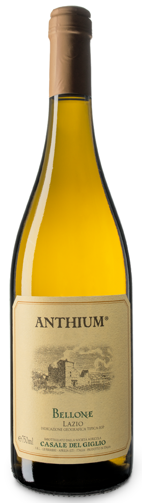 Anthium Bellone.png