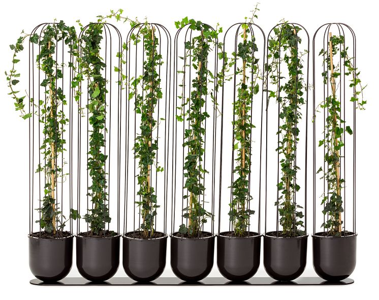 Cacti planteringskärl, design Anki Gneib 