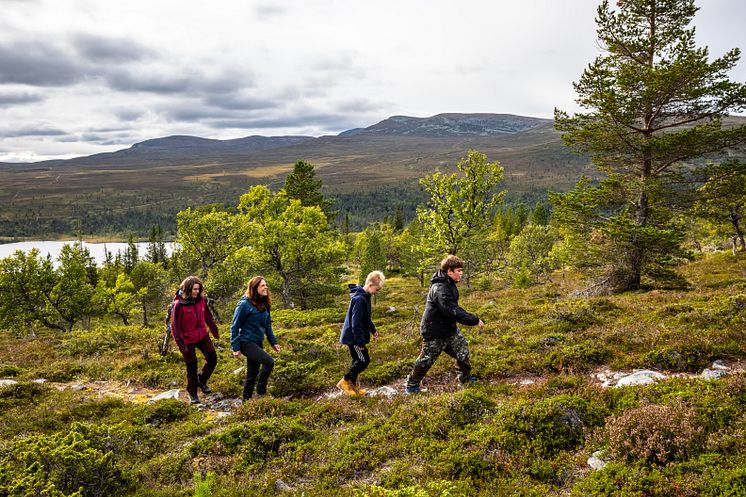 Vandra i Dalarna