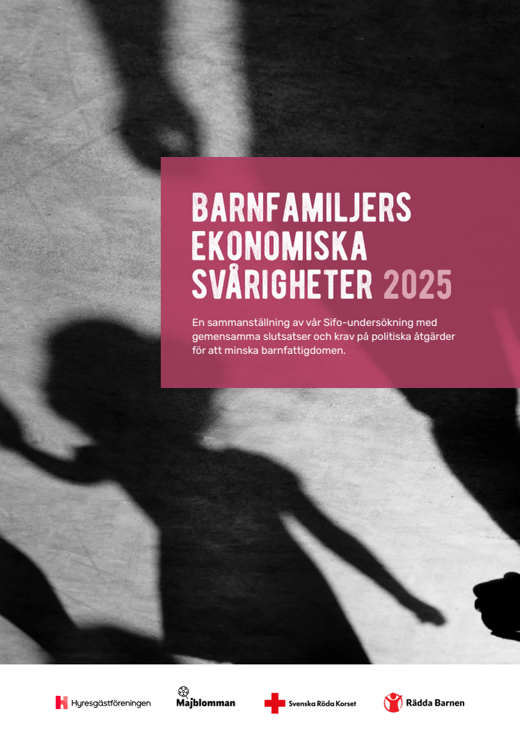 13324_Rapport_SIFO_2025_web.pdf