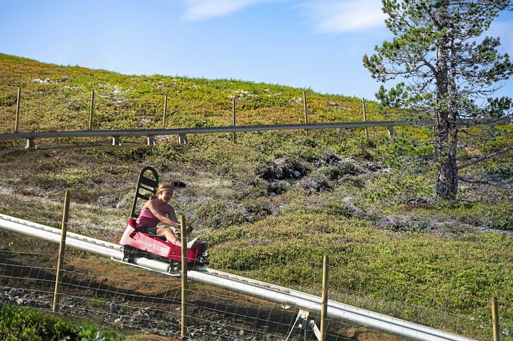 SkiStar Mountain Coaster_Trysil