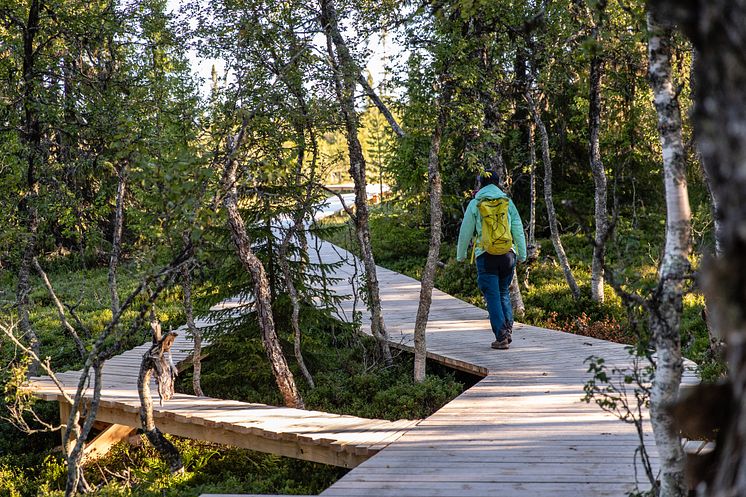 Vandring Panoramaleden Lofsdalen