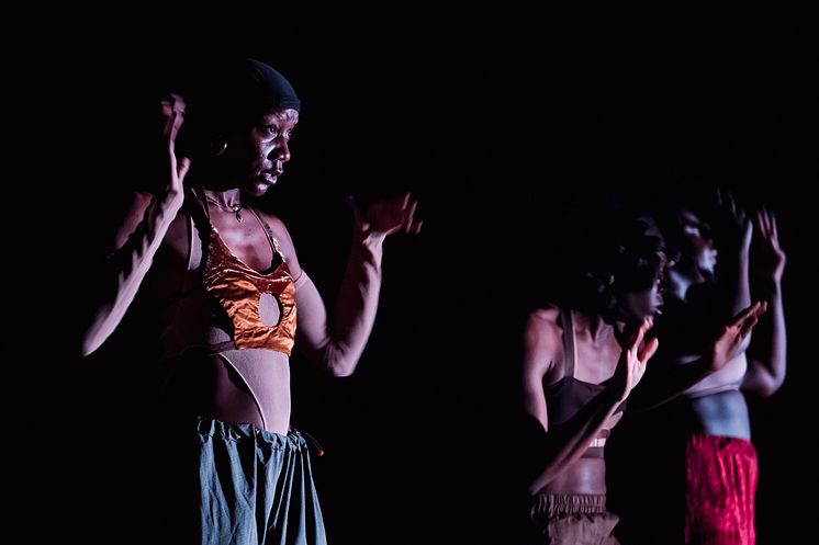 Company Nicolas Huchard - The barefoot diva