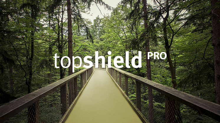 topshield pro - slider home page PS