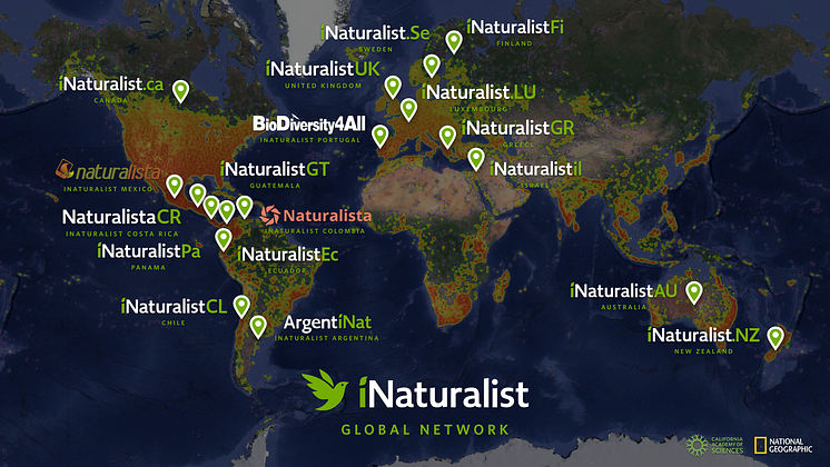 iNaturalist