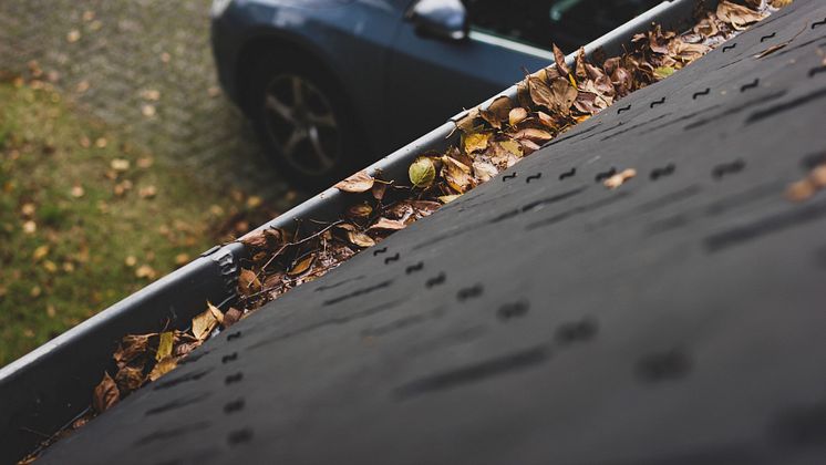 Leaves in gutter