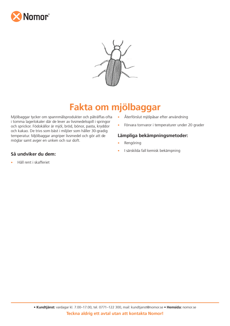 Fakta om mjölbaggar