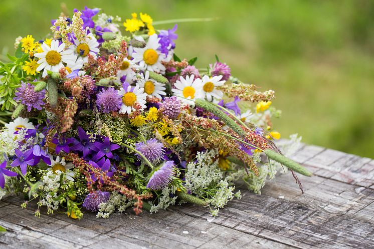 Skolavslutningblommor.jpg