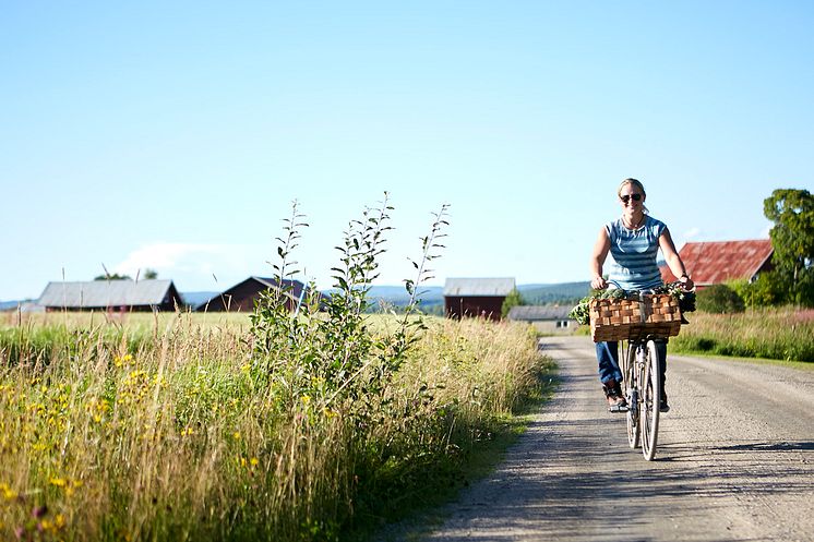 Järvsö Gårdstramp. Foto Destination Järvsö