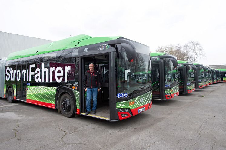 strombusse