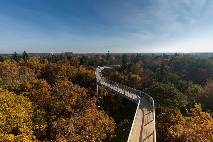 Baumkronenpfad Baum und Zeit in Beelitz-Heilstätten