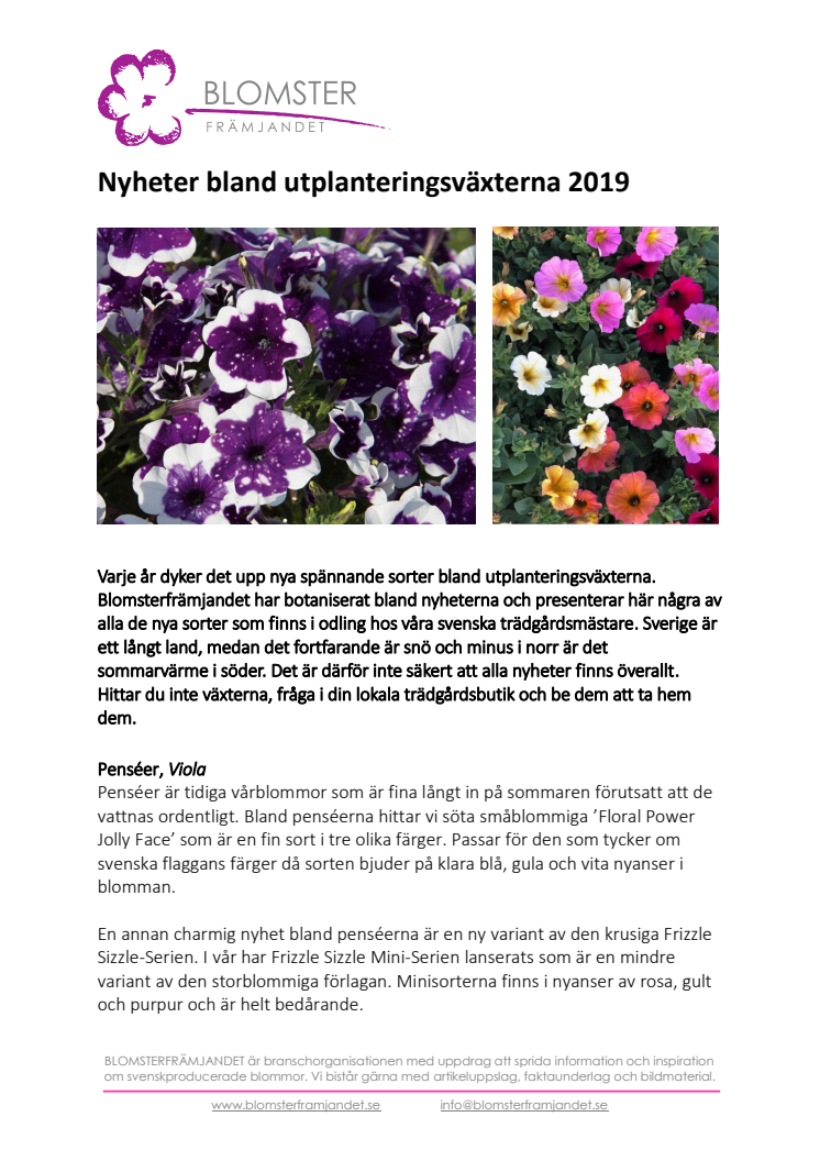 ​Nyheter bland utplanteringsväxterna 2019