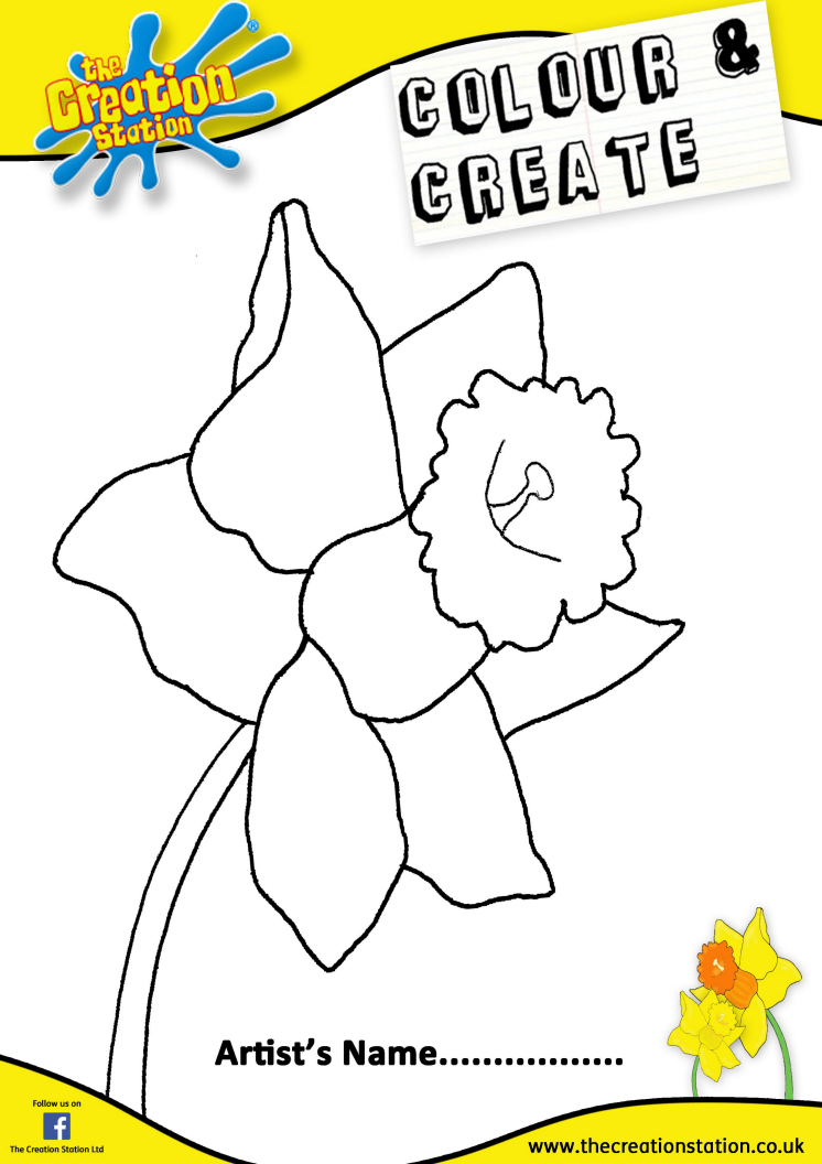Colour and Create your own beautiful Daffodil