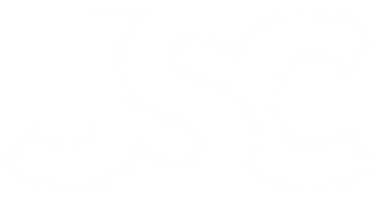 JSC_logo_vit