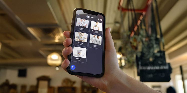 checkoutx-prod-library-surfpay.jpg