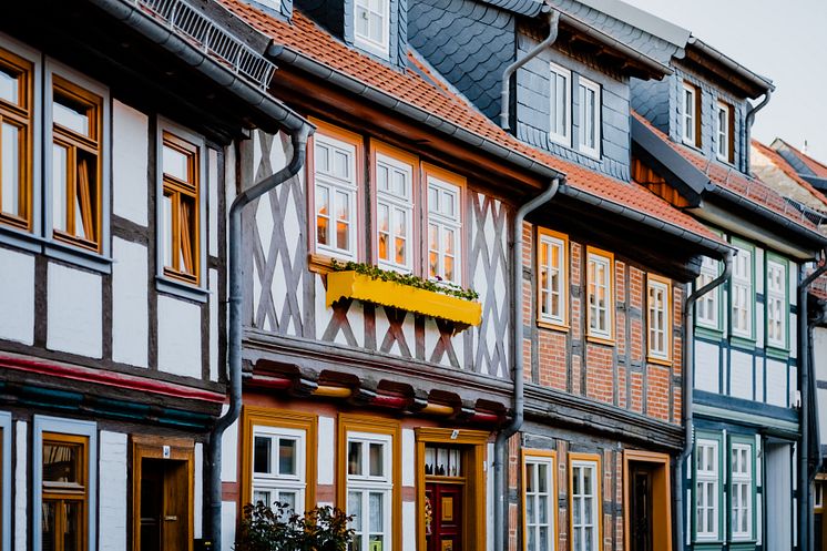 Polyluchs_Innenstadt_WTG(2)