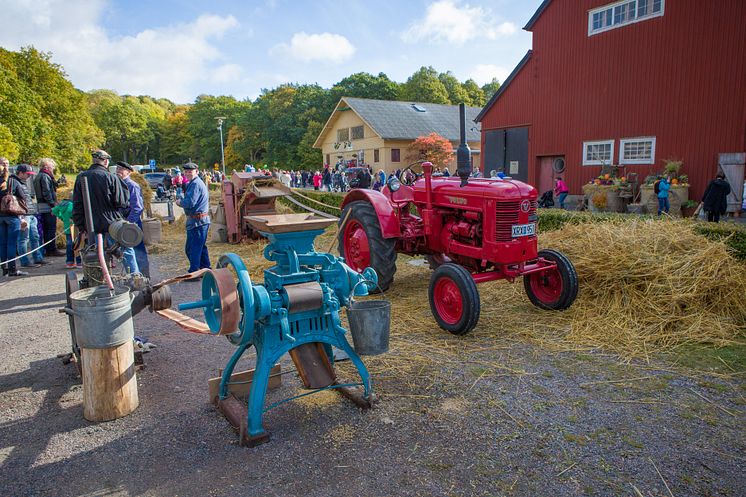Gamla jordbruksredskap visas på Tjolöholms skördefest, foto Thomas Carlén