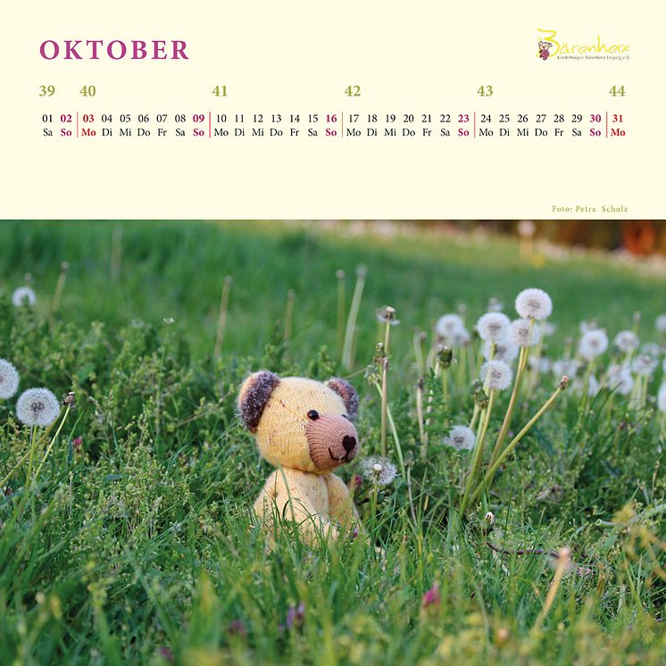 Bärenherz-Kalender für 2016 verfügbar