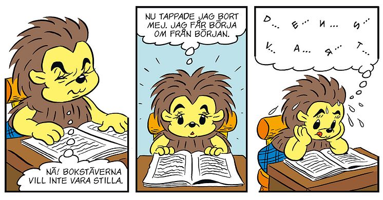 Bamse 15 2023 PiggaKott