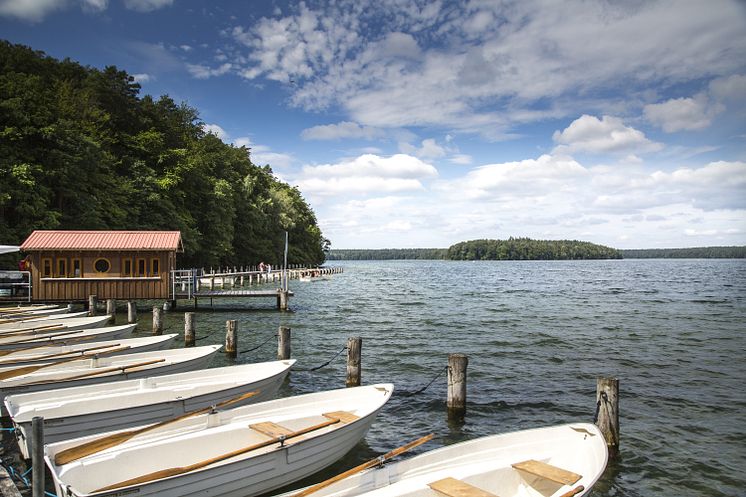 Bootsverleih am Stechlinsee