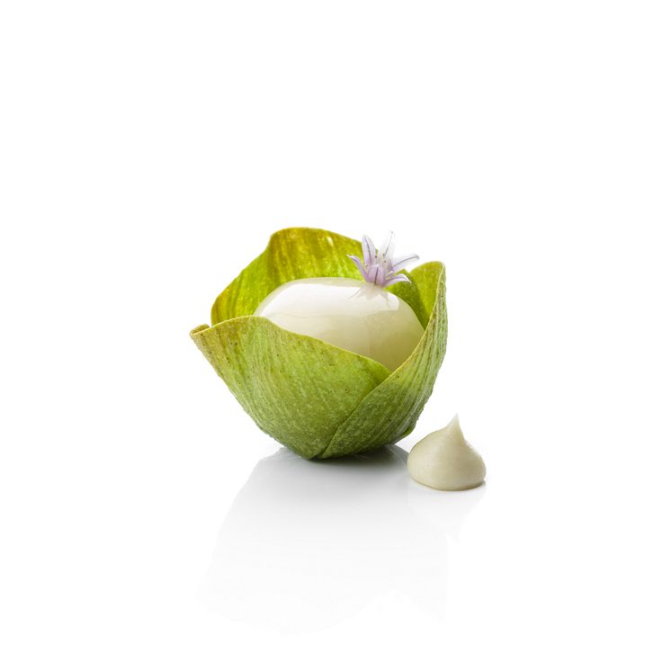 Bocuse-d'Or_2018_Garnityr_SG_Artichoke