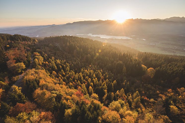 Fribourg / Le Gibloux: Panoramablick über die Region Fribourg 