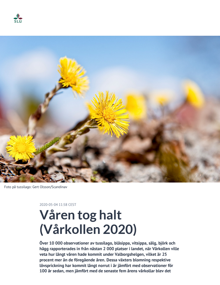 Vårkollen resultat 2020.pdf