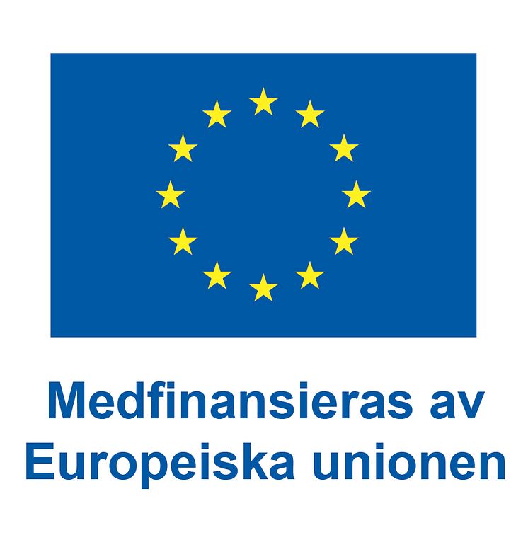 SV V Medfinansieras av Europeiska unionen_POS (2).jpg